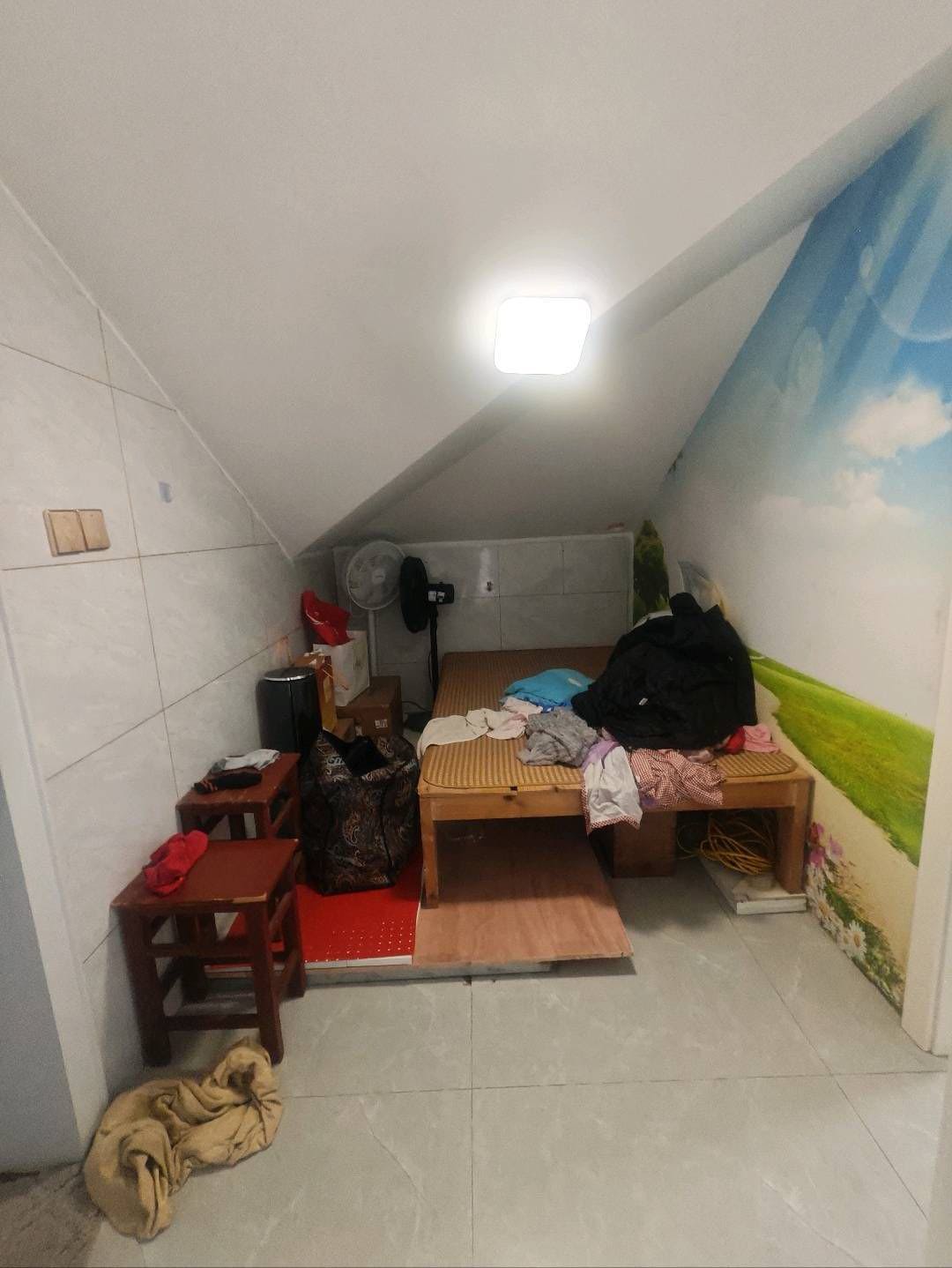 澳门花园图6