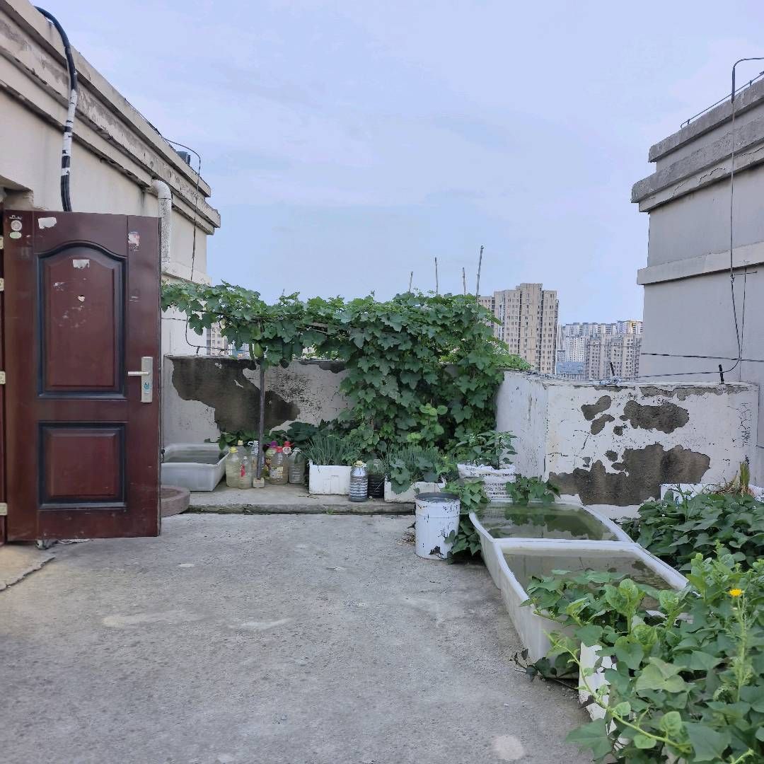 香格里拉实拍