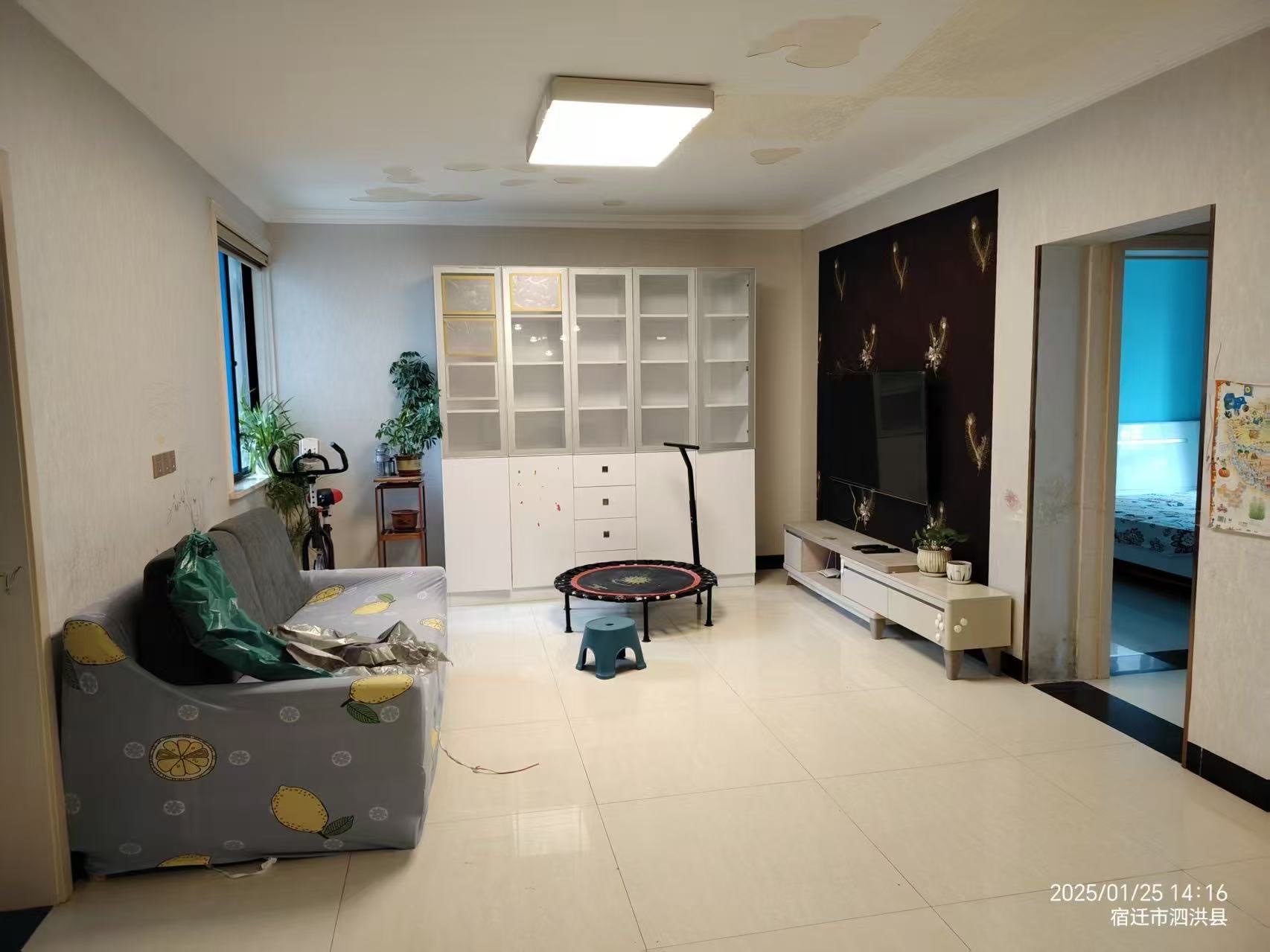 东方明珠图3