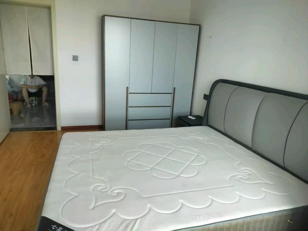 双良鸿城之光图6