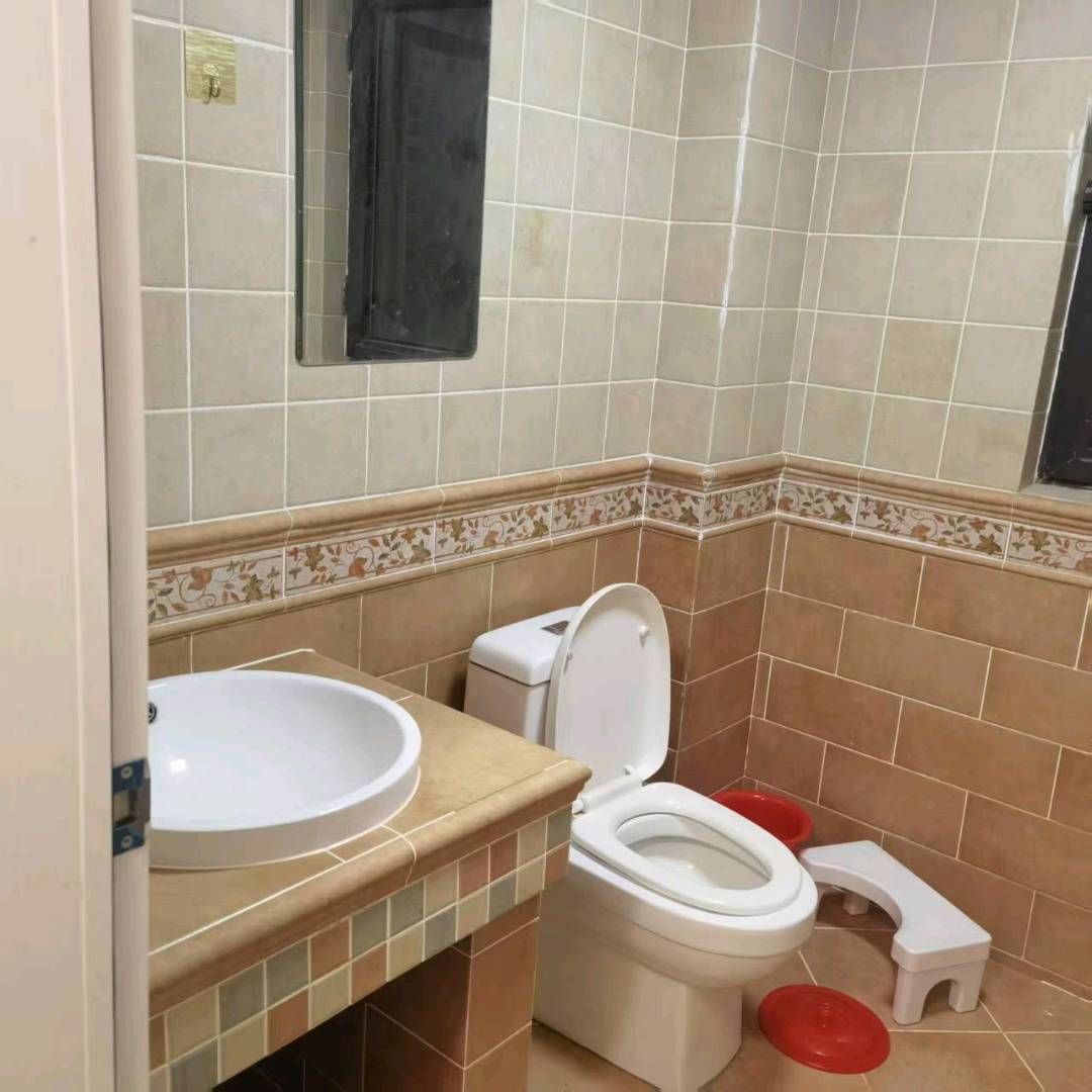双良鸿城之光图6