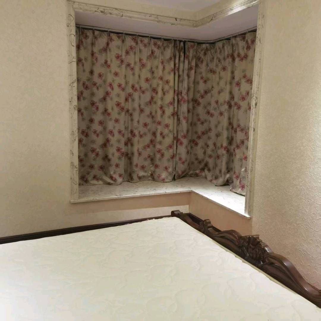 双良鸿城之光图8