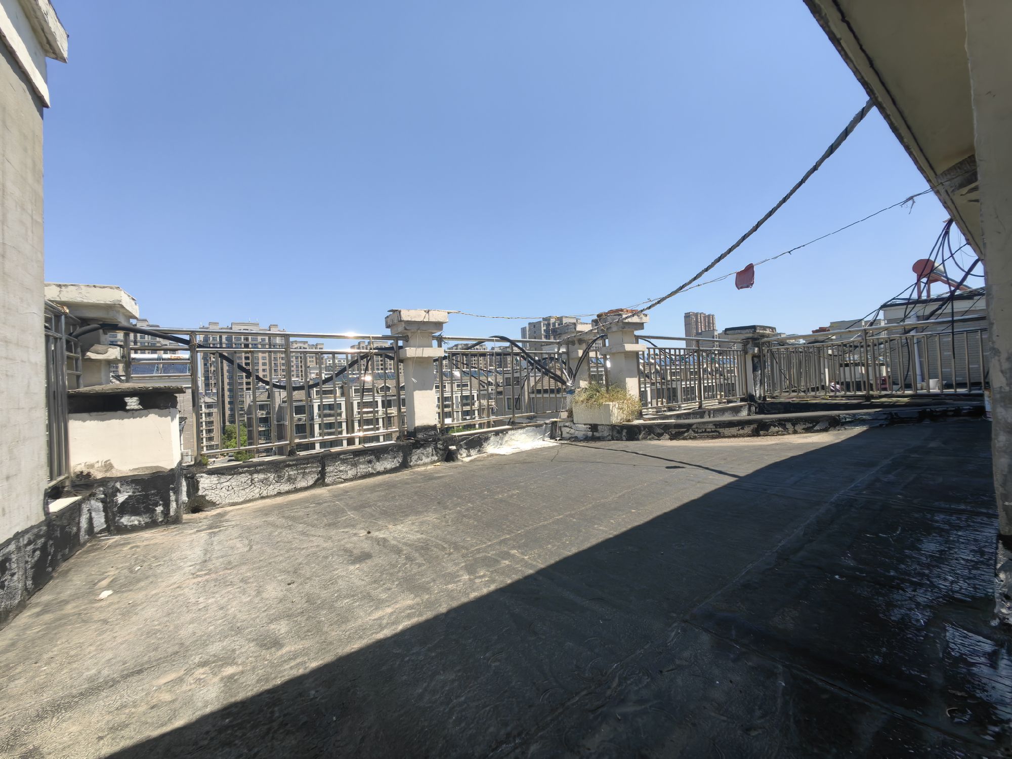 香格里拉图6