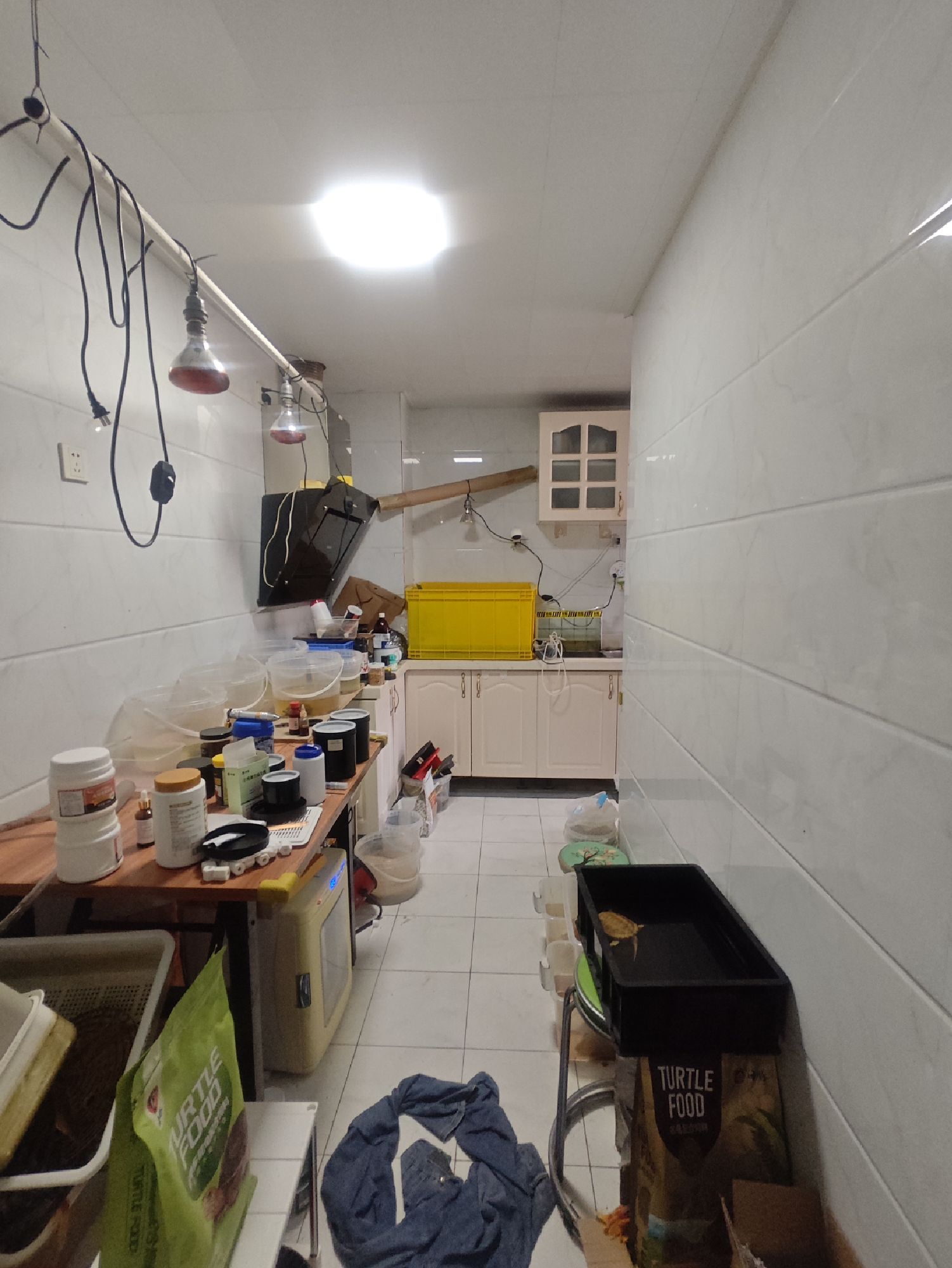 双良鸿城之光图6